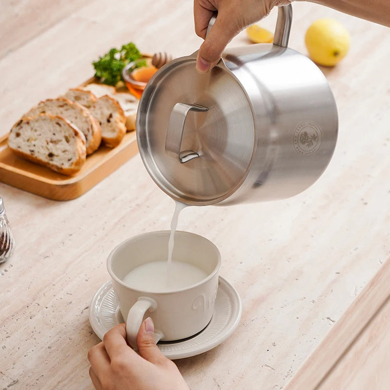 Premium 304 Stainless Steel Fryer – Timeless Design, Lasting Quality