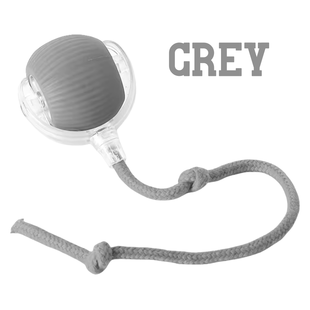 The Toy That Understands How Cats Hunt and Play