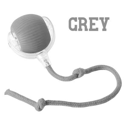 The Toy That Understands How Cats Hunt and Play