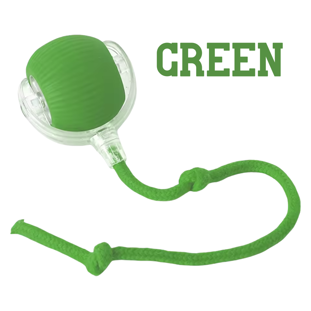 The Toy That Understands How Cats Hunt and Play