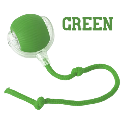 The Toy That Understands How Cats Hunt and Play