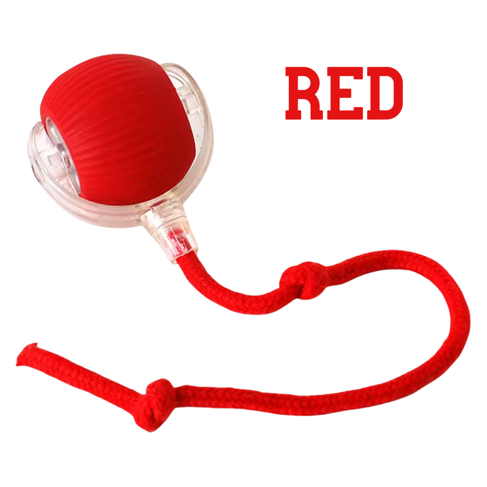 The Toy That Understands How Cats Hunt and Play