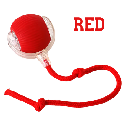 The Toy That Understands How Cats Hunt and Play