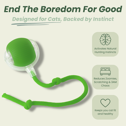 The Toy That Understands How Cats Hunt and Play