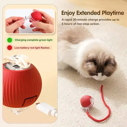 The Toy That Understands How Cats Hunt and Play