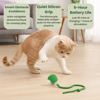 The Toy That Understands How Cats Hunt and Play