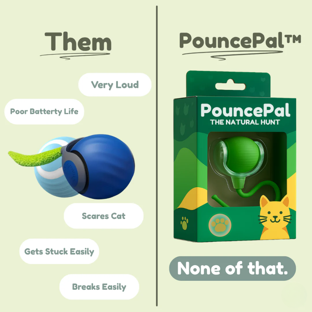 The Toy That Understands How Cats Hunt and Play